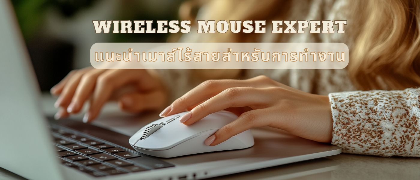 Wireless Mouse Expert – แนะนำเมาส์ไร้สายสำหรับการทำงาน